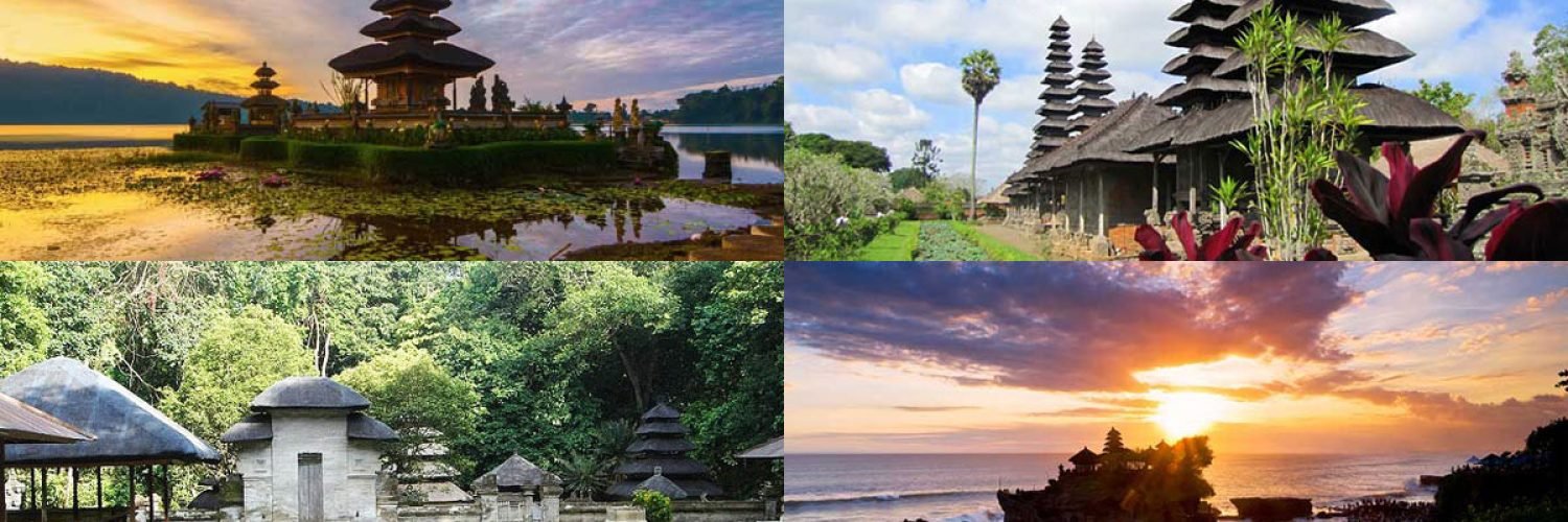 bedugul t lot